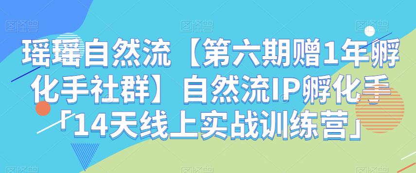 mp3340期-瑶瑶自然流【第六期赠1年孵化手社群】自然流IP孵化手「14天线上实战训练营」(实战经验分享，助力短视频创作之路。)