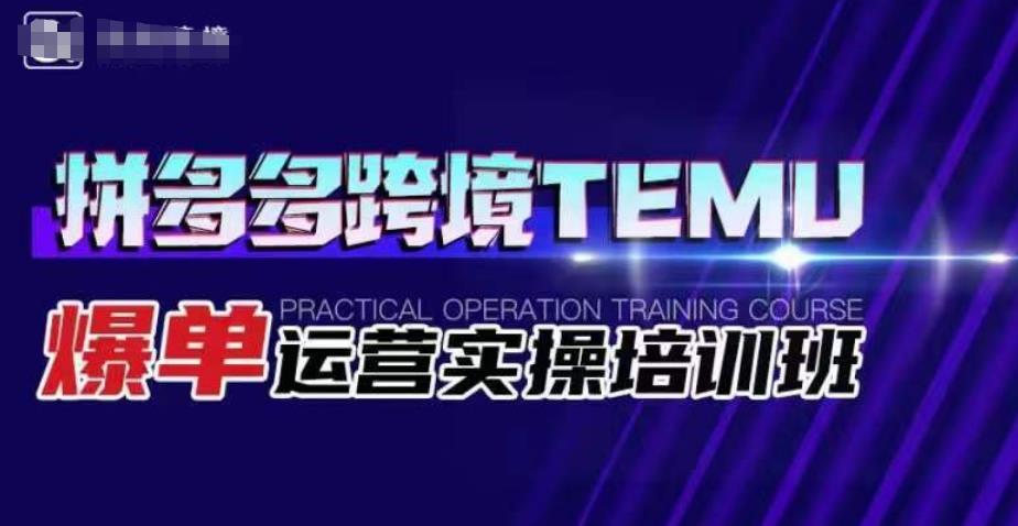 mp3353期-拼多多跨境TEMU爆单运营实操培训班，海外拼多多的选品、运营、爆单(全面掌握拼多多跨境TEMU运营策略，实现爆单目标)