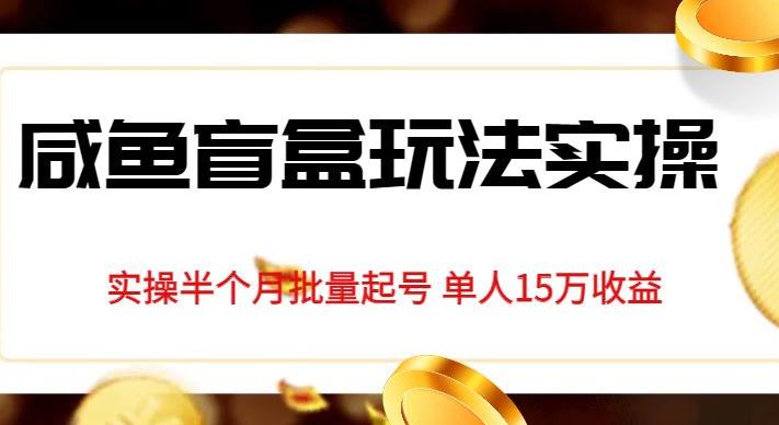 mp3490期-独家首发咸鱼盲盒玩法实操，半个月批量起号单人15万收益【揭秘】(揭秘咸鱼盲盒玩法半月收益15万)