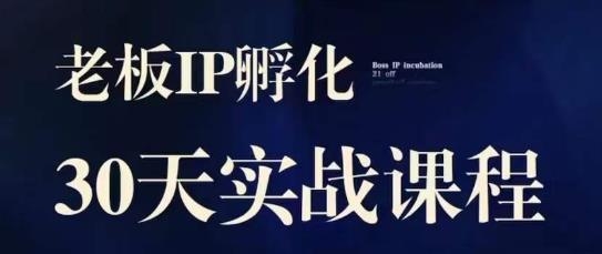 mp3621期-诸葛·2023老板IP实战课，实体同城引流获客，IP孵化必听(“全面掌握实体同城引流获客与IP孵化秘诀——诸葛·2023老板IP实战课”)