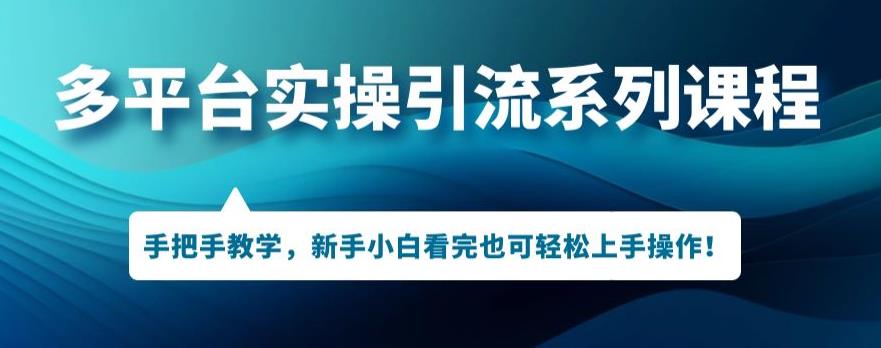 mp3665期-多平台引流实操系列课程，新手小白看完也可轻松上手进行引流操作(多平台引流实操系列课程，新手小白也能轻松上手)