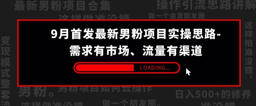 mp3701期-9月首发最新男粉项目实操思路-需求有市场，流量有渠道【揭秘】(深度解析最新男粉项目实操策略及工具应用)