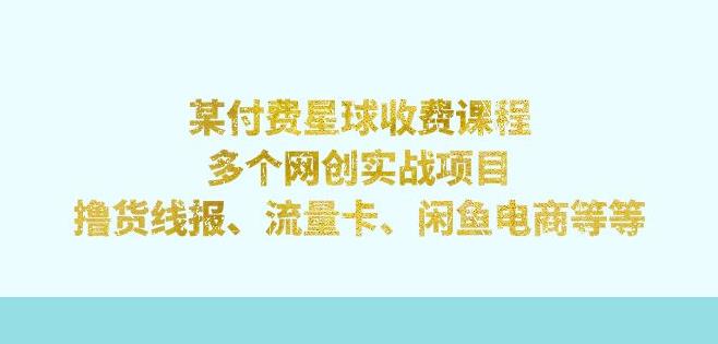 mp3737期-某付费星球课程：多个网创实战项目，撸货线报、流量卡、闲鱼电商等（文档非视频）(某付费星球课程网创实战项目升级与优化)