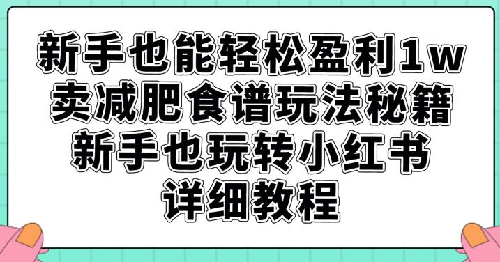 mp3762期-新手也能轻松盈利1w，卖减肥食谱玩法秘籍，新手也玩转小红书详细教程【揭秘】(小红书上的减肥食谱销售秘籍新手也能轻松成为专业教练)