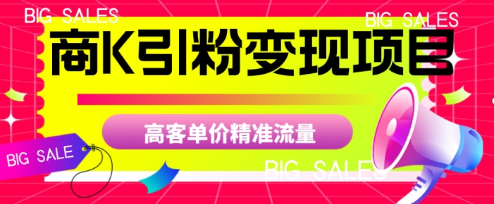 mp3907期-商K引粉变现项目，高客单价精准流量【揭秘】(深度解析商K引粉变现项目及其实施策略)