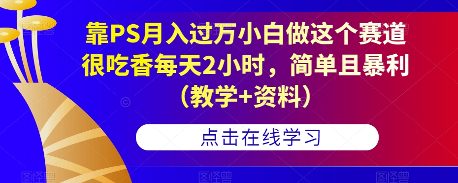 mp4016期-靠PS月入过万小白做这个赛道很吃香每天2小时，简单且暴利（教学+资料）(无需PS技能，保姆式教学助你月入过万)