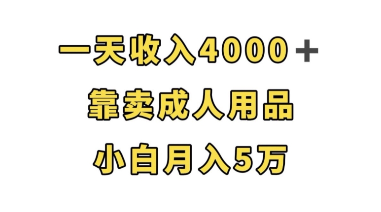 mp4104期-一天收入4000+，靠卖成人用品，小白轻松月入5万【揭秘】