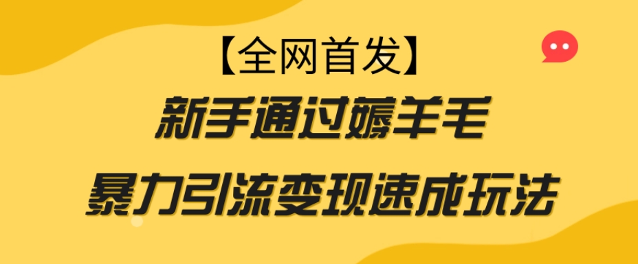 mp4407期-【全网首发】新手通过薅羊毛暴力引流变现速成玩法(新手通过薅羊毛暴力引流变现速成玩法)