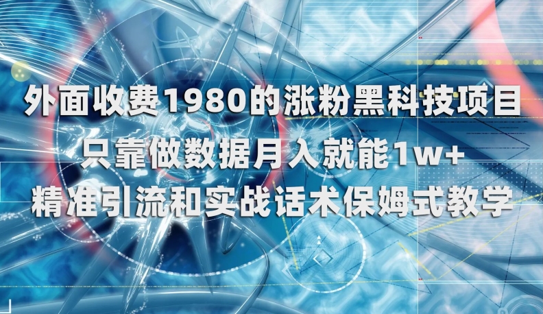 mp4426期-外面收费1980的涨粉黑科技项目，只靠做数据月入就能1w+【揭秘】(揭秘涨粉黑科技项目，轻松实现月入过万)