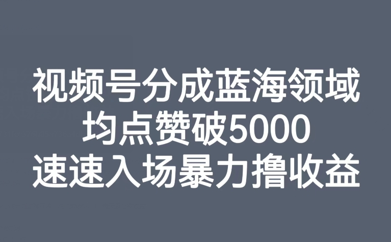 mp4589期-视频号分成蓝海领域，均点赞破5000，速速入场暴力撸收益(探索视频号分成蓝海领域，实现高收益的实操指南)