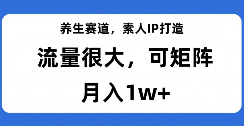 mp4600期-养生赛道，素人IP打造，流量很大，可矩阵，月入1w+【揭秘】(探索养生赛道IP打造实现长期盈利与持续增长)