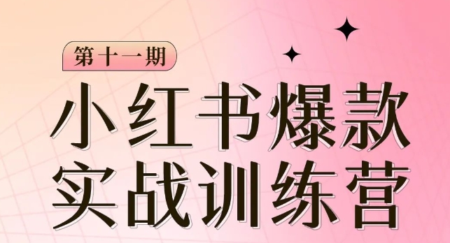 mp4626期-小红书博主爆款训练营第11期，手把手教你从0-1做小红书，从定位到起号到变现(小红书博主成长之路从零基础到变现的全面指南)