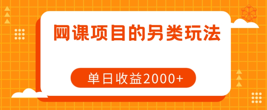 mp4801期-网课项目的另类玩法，单日收益2000+【揭秘】(揭秘网课项目的高效盈利策略)