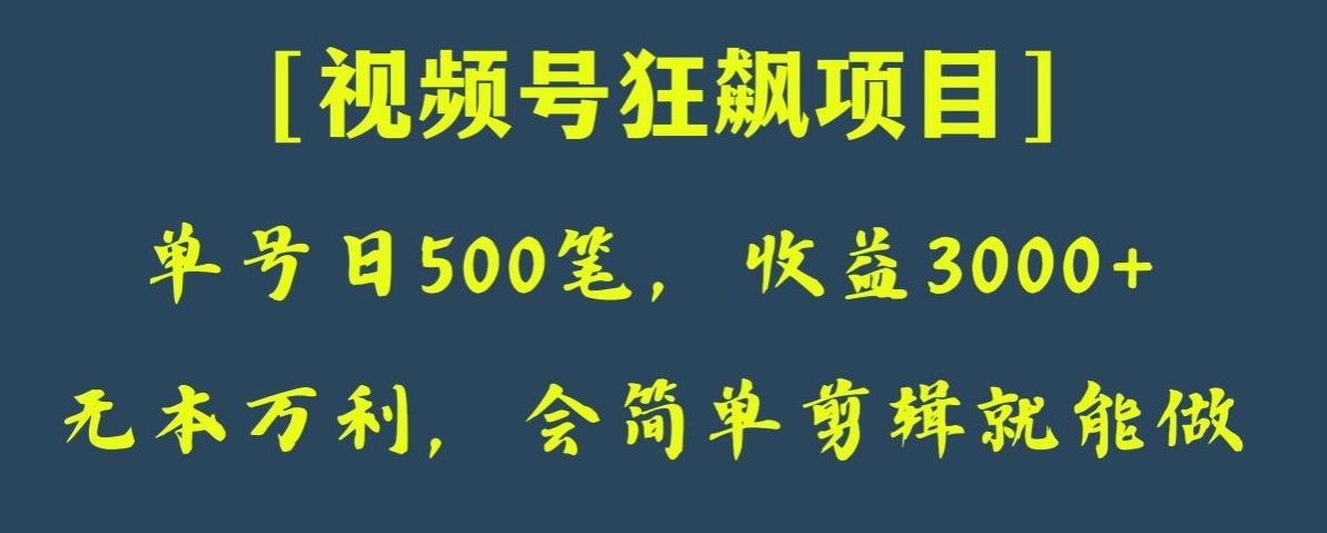 日收款500笔，纯利润3000+，视频号狂飙项目，会简单剪辑就能做【揭秘】_搜券军博客