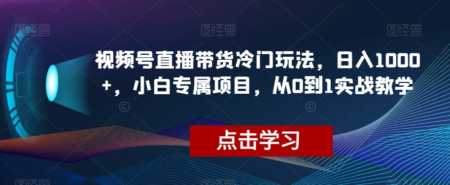 视频号直播带货冷门玩法，日入1000+，小白专属项目，从0到1实战教学【揭秘】_搜券军博客