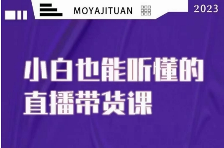 大威本威·能听懂的直播带货课，小白也能听懂，20节完整_搜券军博客