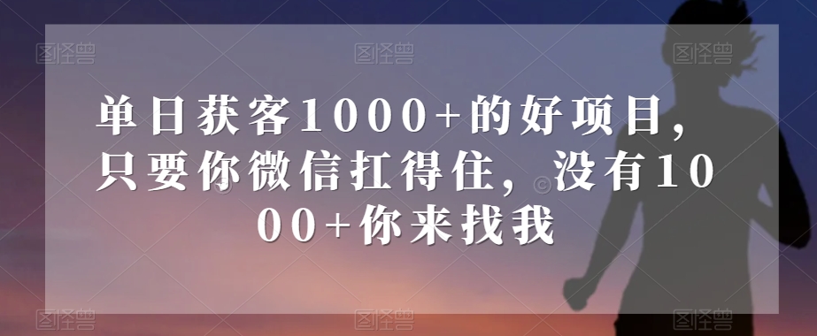 mp5025期-单日获客1000+的好项目，只要你微信扛得住，没有1000+你来找我【揭秘】(揭秘单日获客1000+的好项目，微信扛得住就来挑战！)