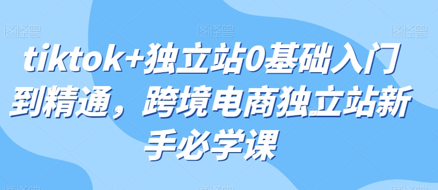 tiktok+独立站0基础入门到精通，跨境电商独立站新手必学课_搜券军博客