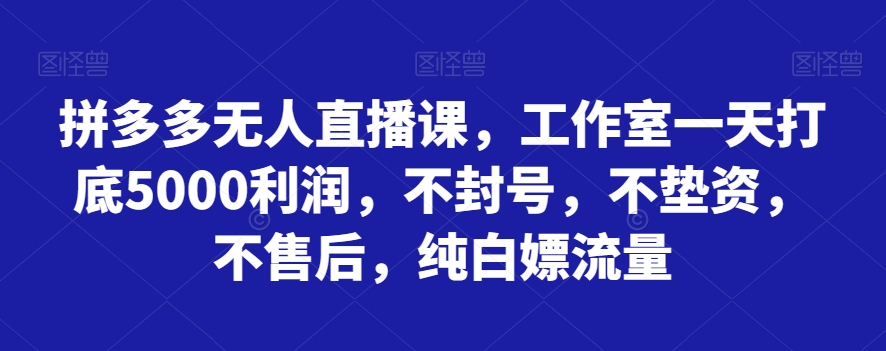 mp5088期-拼多多无人直播课，工作室一天打底5000利润，不封号，不垫资，不售后，纯白嫖流量(探索拼多多无人直播课实现高效盈利与流量获取)