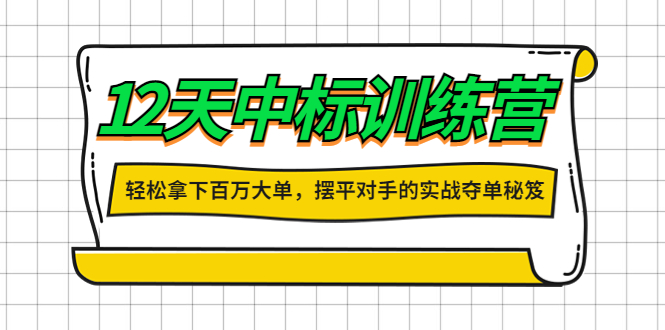 （4116期）12天中标训练营：轻松拿下百万大单，摆平对手的实战夺单秘笈！(（4116期）12天中标训练营实战夺单秘笈，轻松拿下百万大单！)