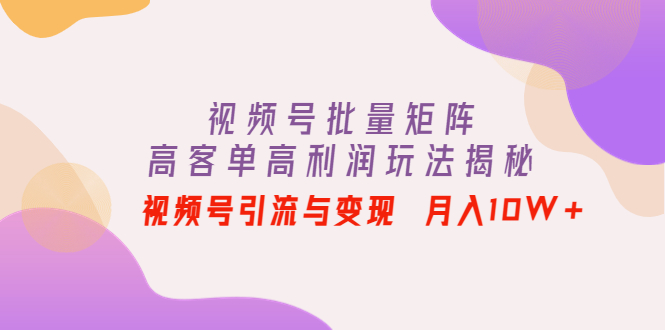 （4193期）视频号批量矩阵的高客单高利润玩法揭秘： 视频号引流与变现 月入10W+(揭秘微信视频号批量矩阵的高客单高利润玩法)