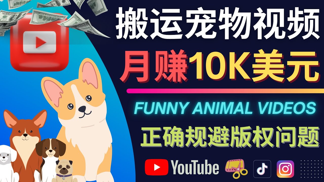 （4221期）搬运TIKTOK视频到YouTube，并进行二次创作，月赚1万美元以上(“宠物短视频的搬运与创新月赚1万美元以上的YouTube赚钱技巧”)