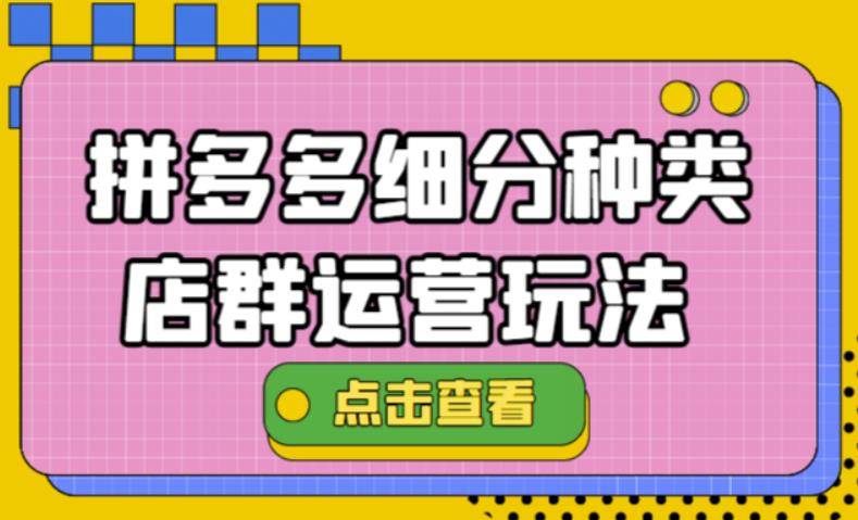 （4373期）拼多多细分种类店群运营玩法3.0，11月最新玩法，小白也可以操作(拼多多细分种类店群运营玩法3.0，小白也能轻松上手)