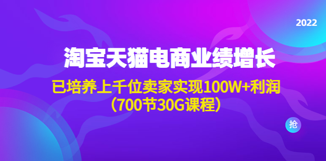 （4409期）淘系天猫电商业绩增长：已培养上千位卖家实现100W+利润（700节30G课程）(淘系天猫电商业绩增长课程700节30G课程助力卖家实现100W+利润)