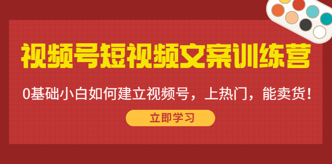 （4266期）视频号短视频文案训练营：0基础小白如何建立视频号，上热门，能卖货！(视频号短视频文案训练营从0到1打造热门视频号)