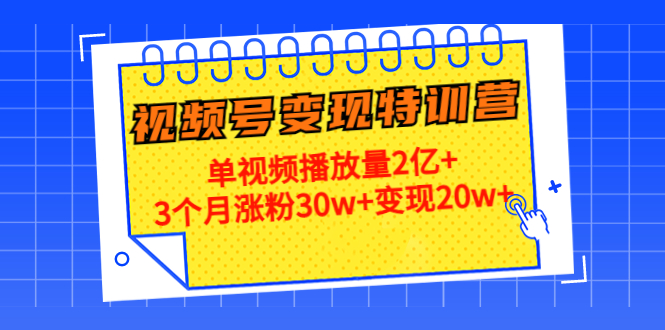 （4455期）20天视频号变现特训营：单视频播放量2亿+3个月涨粉30w+变现20w+(全面掌握视频号运营与变现技巧，助您实现粉丝增长与财富增值)