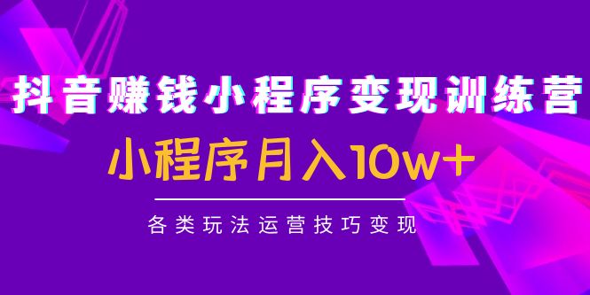 （4511期）抖音赚钱小程序变现训练营：小程序月入10w+各类玩法运营技巧变现(全面解析抖音小程序变现技巧，助你实现月入10w+)