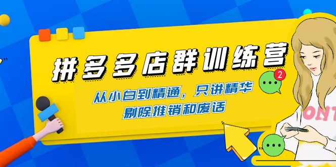 （4318期）拼多多店群训练营：从小白到精通，只讲精华，剔除推销和废话(拼多多店群训练营全面掌握店铺运营技巧)