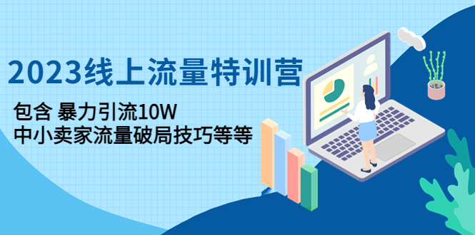 （4567期）2023线上流量特训营：包含暴力引流10W+中小卖家流量破局技巧等等(2023线上流量特训营助力中小卖家破解流量难题)