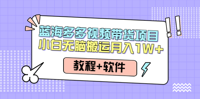 （4343期）人人都能操作的蓝海多多视频带货项目 小白无脑搬运月入10000+（教程+软件）(探索蓝海多多视频带货项目小白无脑搬运月入10000+的机会)