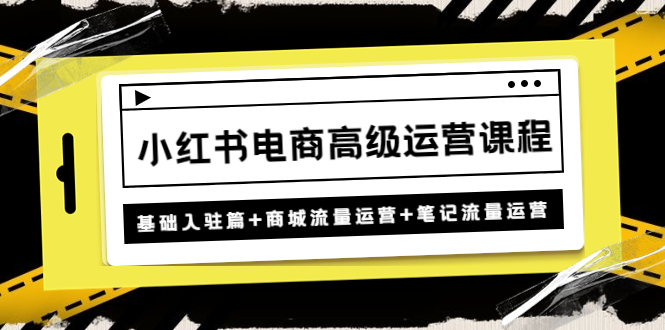 （4638期）小红书电商高级运营课程：基础入驻篇+商城流量运营+笔记流量运营(全面掌握小红书电商运营技巧，提升店铺业绩)