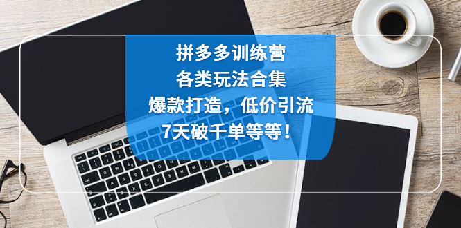 （4693期）拼多多训练营：各玩法合集，爆款打造，低价引流，7天破千单等等！(拼多多训练营深度解析电商运营策略，助力商家提升销售业绩)