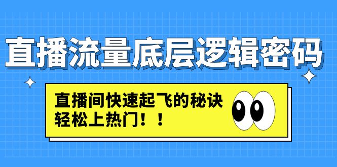 （4756期）直播流量底层逻辑密码：直播间快速起飞的秘诀，轻松上热门(揭秘直播流量增长秘诀从底层逻辑到实战技巧一网打尽)