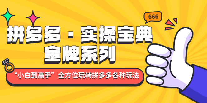 （4934期）拼多多·实操宝典：金牌系列“小白到高手”带你全方位玩转拼多多各种玩法(全方位解析拼多多运营策略，助你从小白到高手)