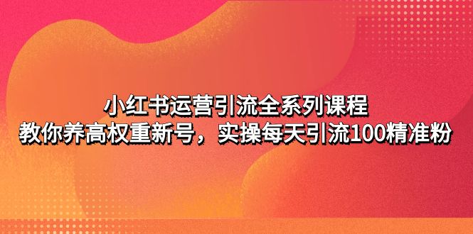 （4950期）小红书运营引流全系列课程：教你养高权重新号，实操每天引流100精准粉(掌握小红书运营技巧，实现高效引流与粉丝增长)