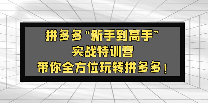 （5173期）拼多多“新手到高手”实战特训营：带你全方位玩转拼多多！(拼多多实战特训营助你从新手到高手！)