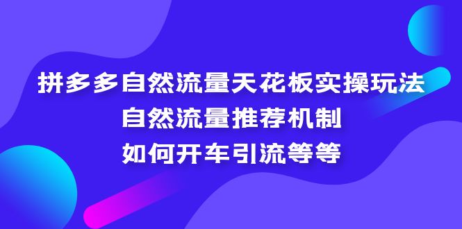 （5327期）拼多多自然流量天花板实操玩法：自然流量推荐机制，如何开车引流等等(深度解析拼多多自然流量实操策略及引流技巧)