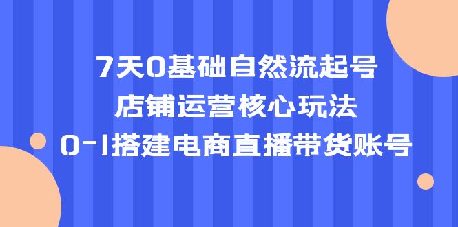 （5350期）7天0基础自然流起号，店铺运营核心玩法，0-1搭建电商直播带货账号(7天速成电商直播带货账号搭建与运营技巧)