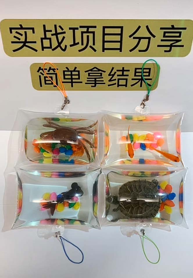 （5392期）最近抖音很火的泡泡鱼手工小成本地摊创业项目，日賺500+项目课程解析