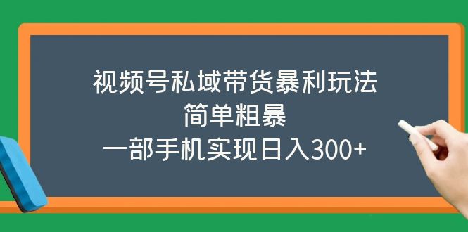 （5544期）视频号私域带货暴利玩法，简单粗暴，一部手机实现日入300+(视频号私域带货一部手机实现日入300+的简单粗暴策略)