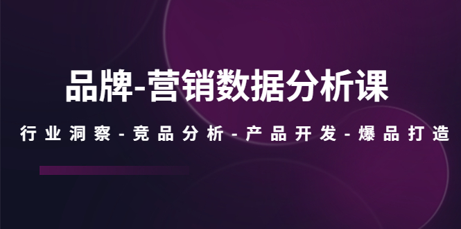 （5565期）品牌-营销数据分析课，行业洞察-竞品分析-产品开发-爆品打造(深度解析品牌营销数据分析课从行业洞察到爆品打造)