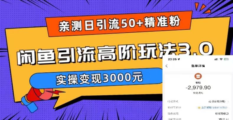 （5739期）实测日引50+精准粉，闲鱼引流高阶玩法3.0，实操变现3000元(实测日引50+精准粉，闲鱼引流高阶玩法3.0实操变现指南)