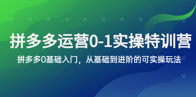 （5747期）拼多多-运营0-1实操训练营，拼多多0基础入门，从基础到进阶的可实操玩法(拼多多运营0-1实操训练营从基础到进阶的全面解析)