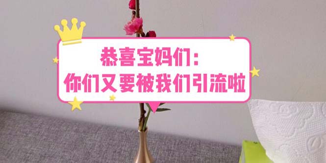 （5891期）恭喜宝妈们：你们又要被我们引流了（教程+222g资料）(“宝妈们的新机遇长期引流项目带来的稳定高收入”)