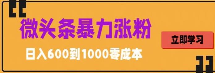 （5950期）微头条暴力涨粉技巧搬运文案就能涨几万粉丝，简单0成本，日赚600(微头条涨粉秘籍简单搬运文案，轻松日赚600)