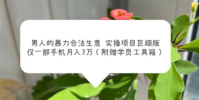 （5962期）男人的暴力合法生意实操项目巨细版：仅一部手机月入3w（附赠学员工具箱）(揭秘男性主导的月入3万合法生意实操项目)